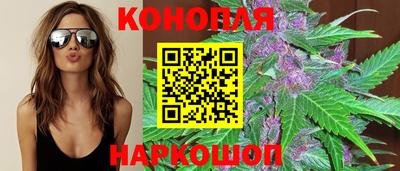 эйфоретик Шелехов
