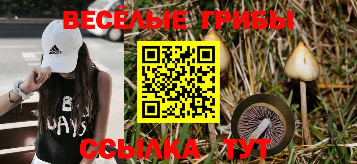 Псилоцибиновые грибы ЛСД Благодарный