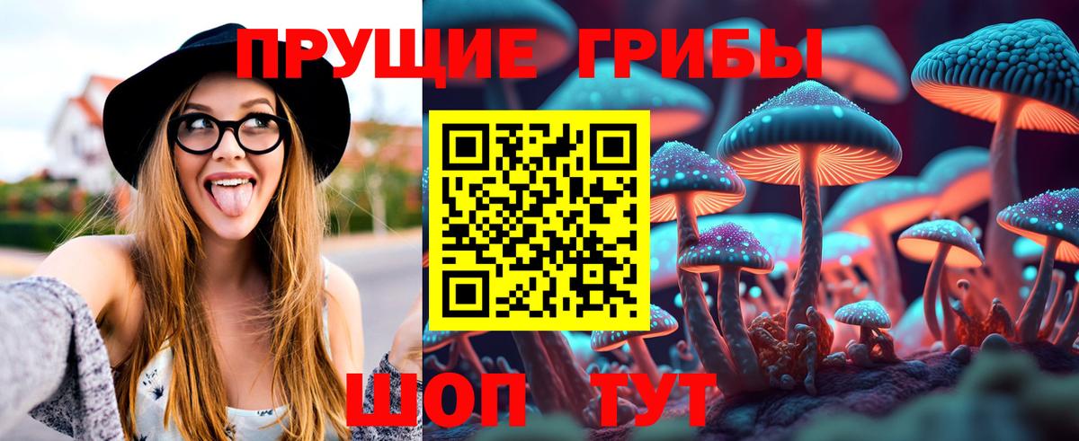 Галлюциногенные грибы прущие грибы  Вход с VPN  где можно купить наркотик  Благодарный 